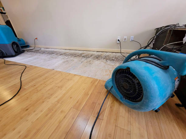 Professional Basement Flood Cleanup technician working in Monument, CO